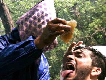 nepal-honey