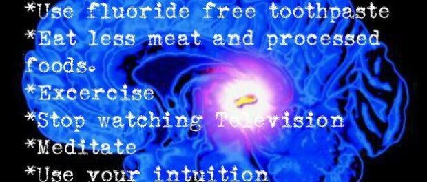 Take-care-of-your-Pineal-gland...It-is-your-best-friend-during-this-shift-and-awakening.-620x264