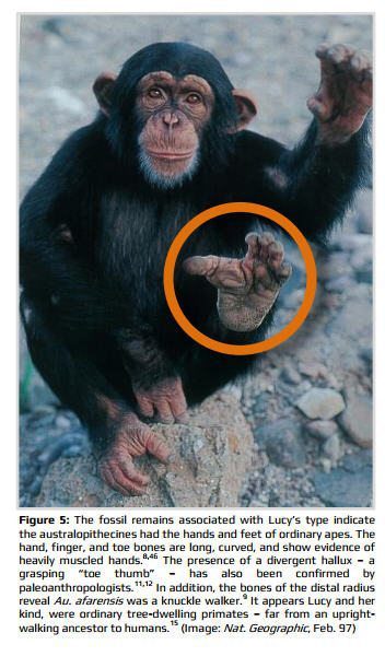 The Full Story about Lucy6 on RasTafari TV