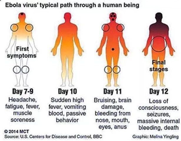 ebola_path.rastafari.tv