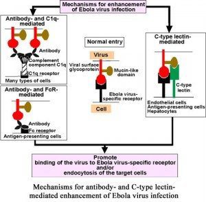 ebola_path.rastafari.tv3