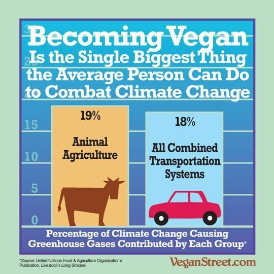 going-vegan