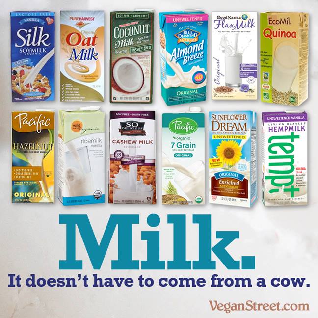 milk