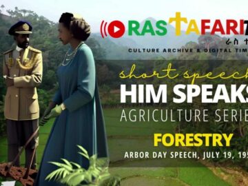 Thumb Rastafari TV Network Agriculture Series 1920×1080